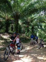 siamsmiletravel-cycling jungle